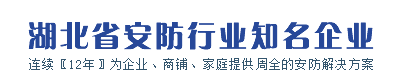 湖北省安防行业知名企业